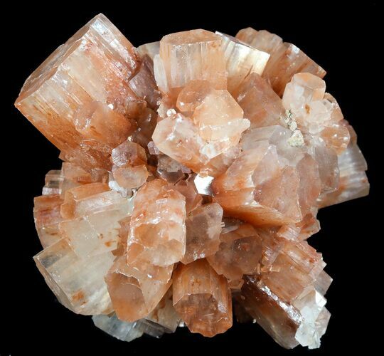Aragonite Twinned Crystal Cluster - Morocco #49306